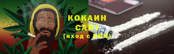 молекула духа Сосновка