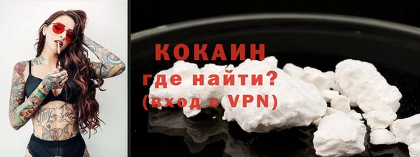 шишки Володарск