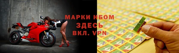 PSILOCYBIN Волосово